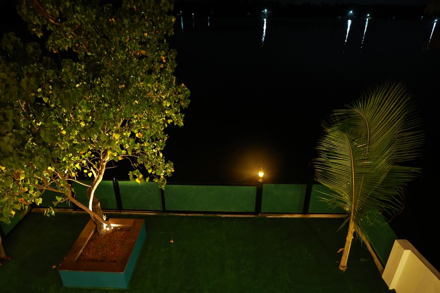 The lakeside lawn at night